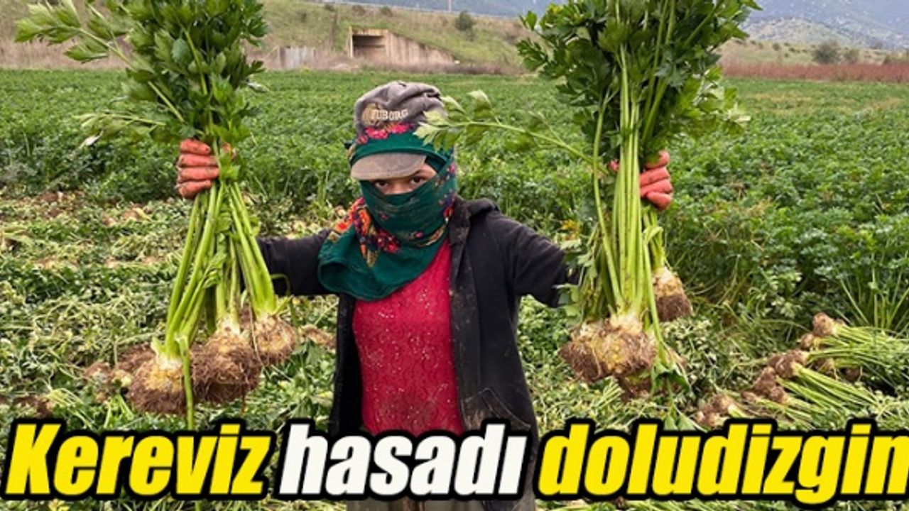 Ovada hareket de bereket de var