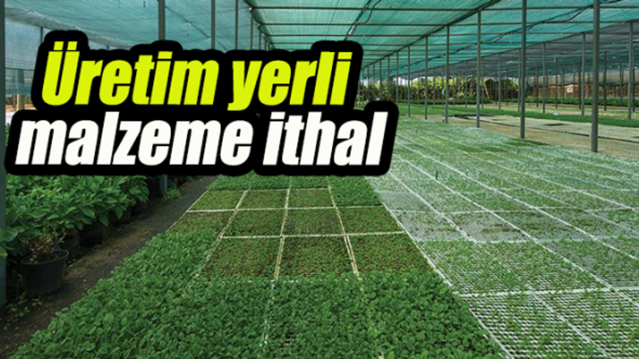 Fide üretiminde yabancı firma ağırlığı