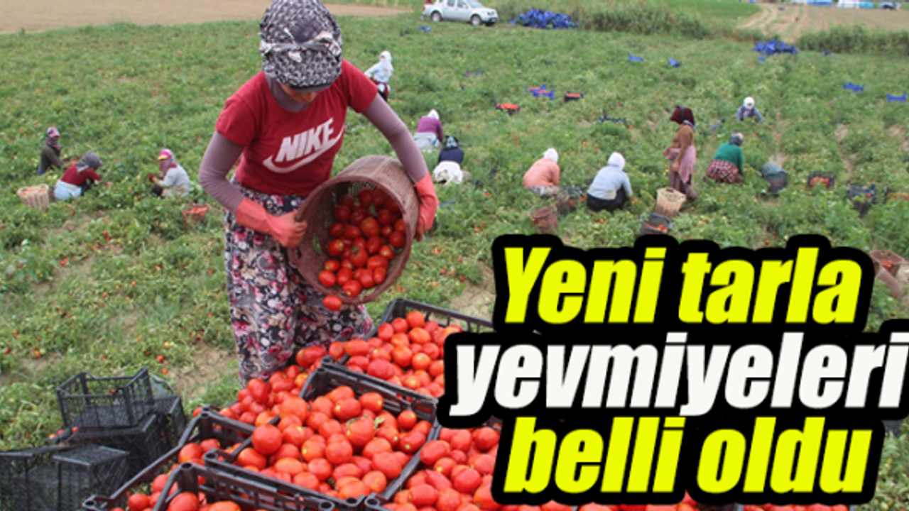 İşte bu yıl alınacak yevmiyeler