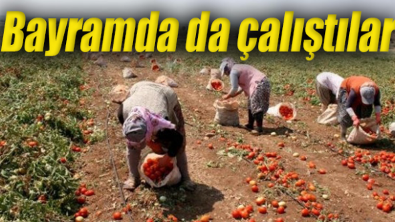 Onlara bu bayram da tatil yok