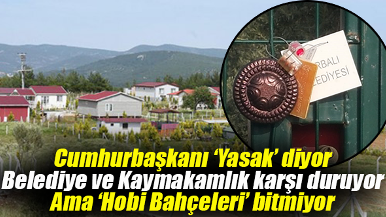 Torbalı’da ‘Hobi bahçesi’ adı altında tarım yok ediliyor