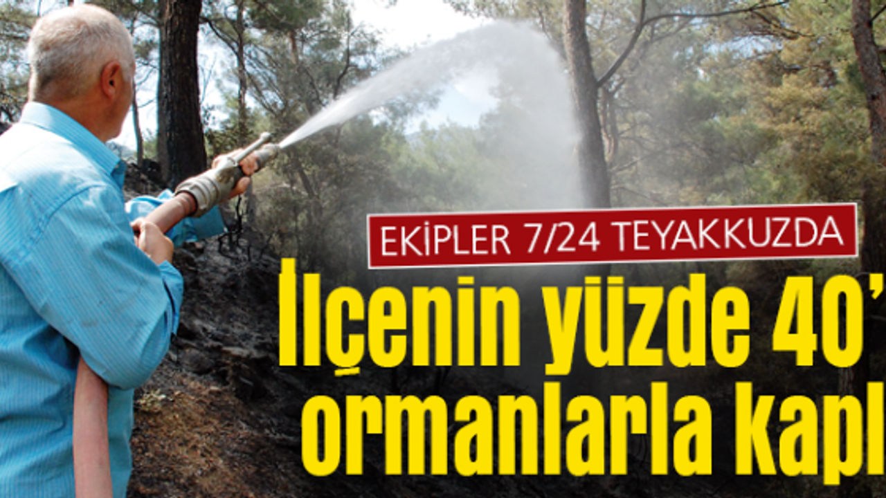 16 milyon ağaç için ekipler hazır kıta