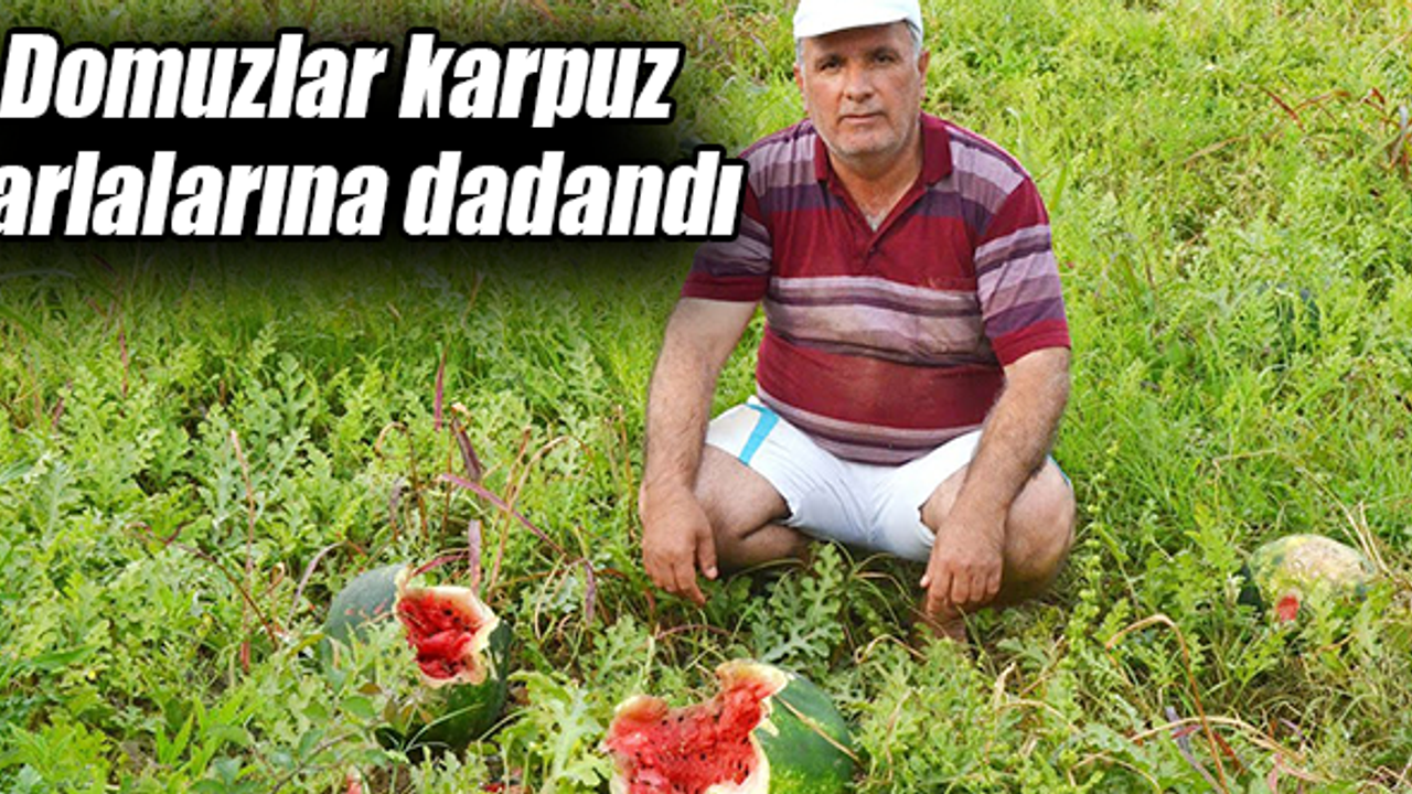 Her gece nöbet tutmak zorunda kalıyorlar
