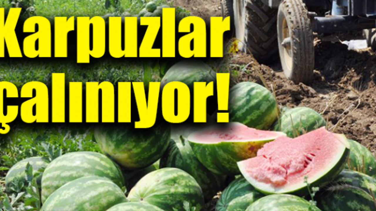 Kimi göz hakkı diyor kimi bagajı dolduruyor