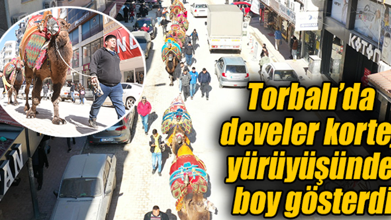 Bölgenin en büyük deve güreşi yarın Torbalı’da