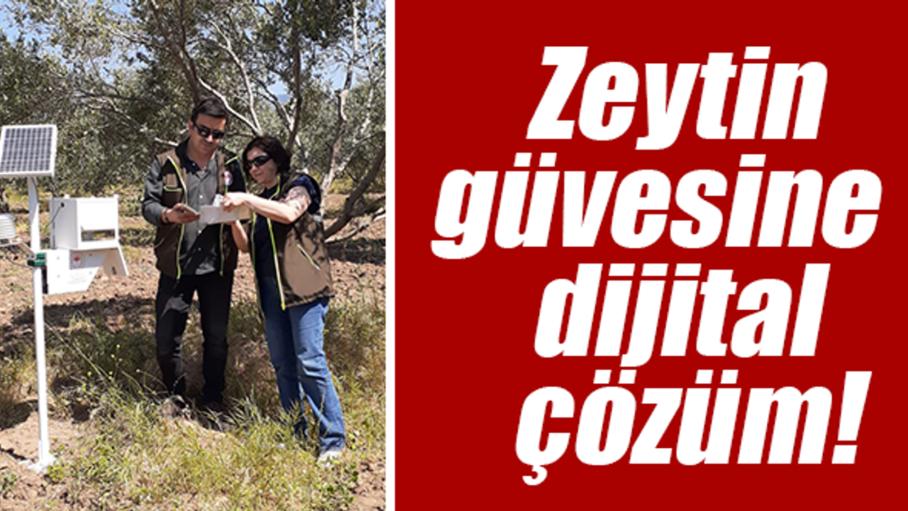 Dijital Feromon Tuzakları meyvesini vermeye başladı