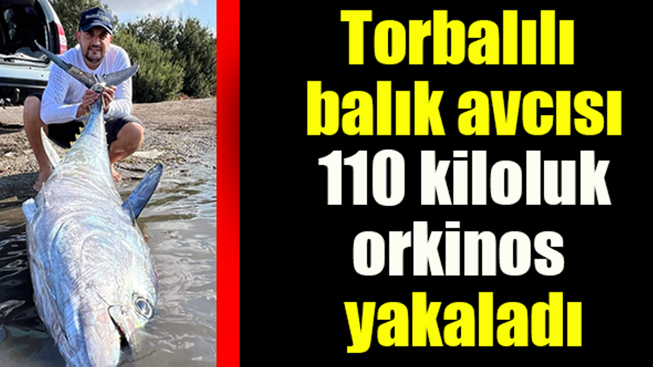 Dev orkinosu oltayla yakaladı