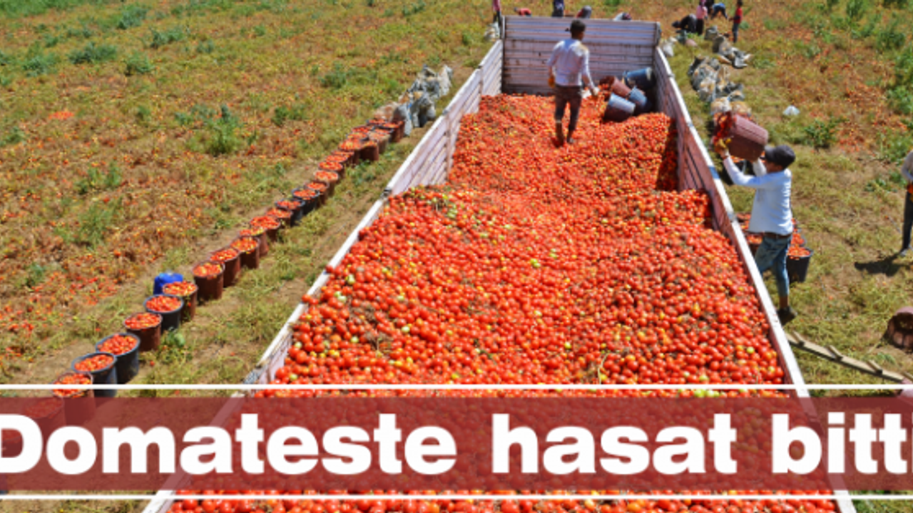 Domates bitti ovada kış telaşı başladı