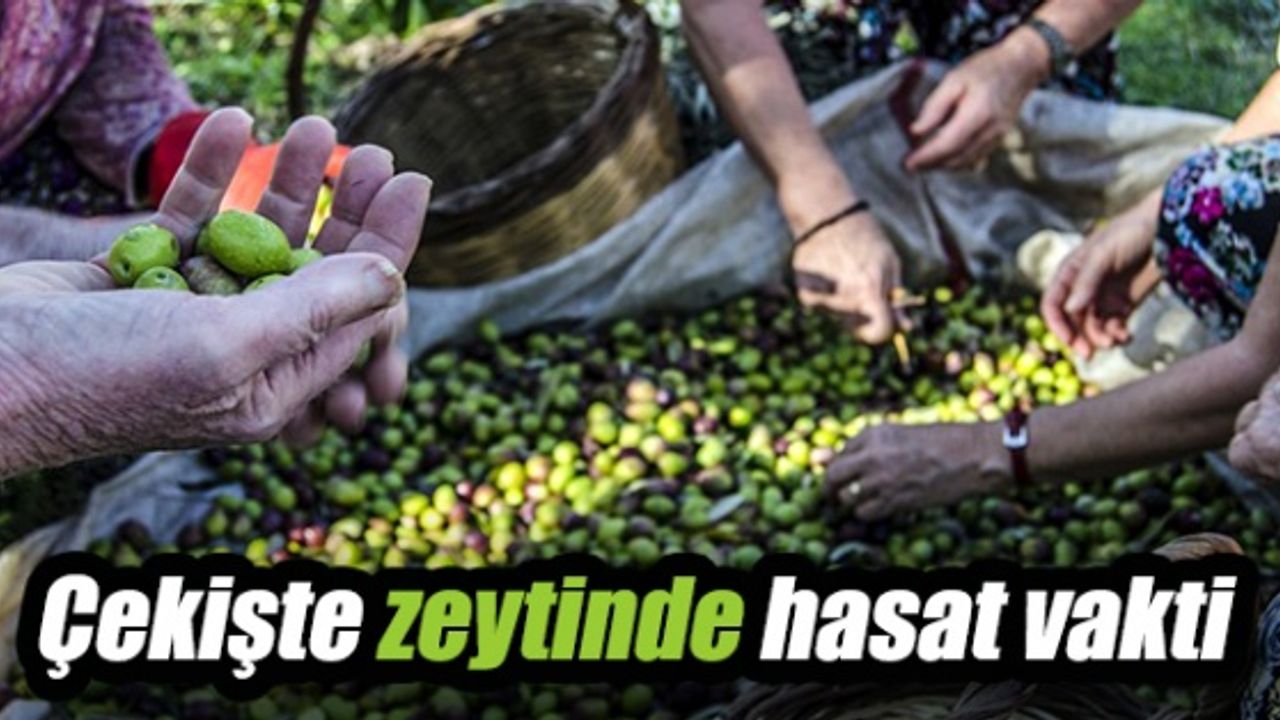 Ovanın umudu, rekora hazır