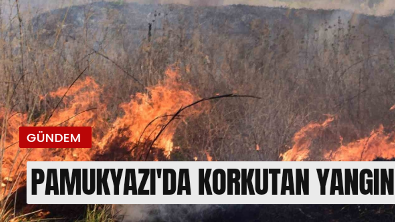 Otluk alanda çıkan yangın korkuttu