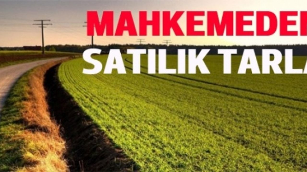 Borçlu çiftçinin tarlası açık artırmayla satılacak