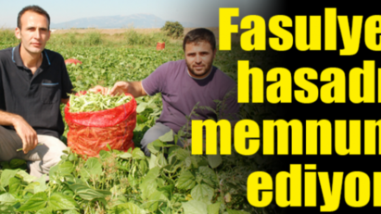 Torbalı’dan Türkiye’ye taze fasulye