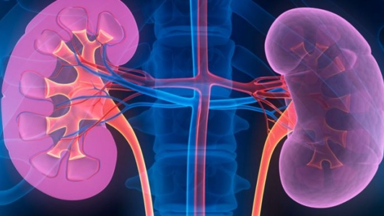 Böbrek Çürümesi Belirtileri Nasıl Anlaşılır?