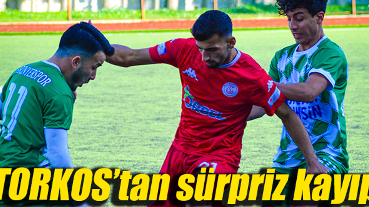 Torbalıspor namağlup liderliğini sürdürüyor