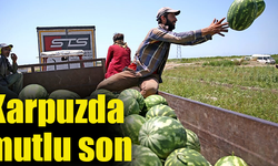 Üretici altın gibi sezon geçirdi