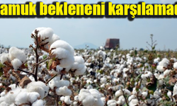 Beyaz altın bu yıl üzdü