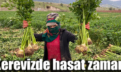 Üretici kerevizden umutlu!
