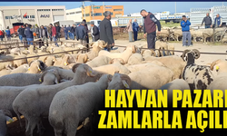 Torbalı’da  45 gün aradan sonra hayvan pazarı açıldı