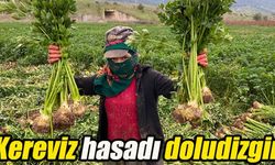 Ovada hareket de bereket de var