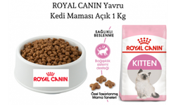 Royal Canin Kitten Sağlıklı mı?