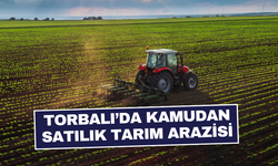Dağkızılca’daki tarım arazisi mahkemeden satışa çıktı