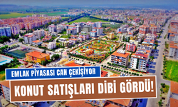 Konut satışları bıçak gibi kesildi