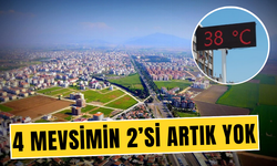 Bahar mevsimleri artık yok!