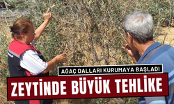 İlçe Tarım’dan üreticiye bilgilendirme eğitimi