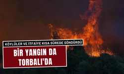 Türkmenköy'deki Orman Yangını, Köylülerin Kahramanlığıyla Söndürüldü