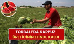 Karpuz da üreticisini hüsrana uğrattı