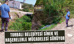 Torbalı’da sinek ve haşerelere mücadele