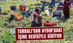 Kedisini yanından ayırmıyor