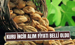 TARİŞ açıkladı… İşte kuru incir alım fiyatı