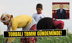 Tarım işçisine ücret dayatması Meclis’te