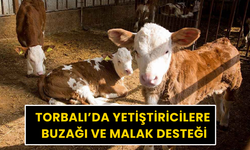 Torbalı’da yüzlerce yetiştirici yararlanacak