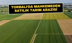 Dağtekke’de mahkemeden satılık tarım arazisi