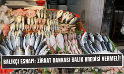 Balıkçı esnafı: Ziraat Bankası Balık Kredisi vermeli!