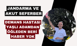 Jandarma ve Akut seferber oldu