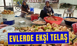 Köylerde ekşi telaş başladı