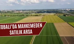 Çakırbeyli’deki tarla mahkeme kararı ile satılacak