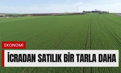 Çapak’ta icradan satılık tarla