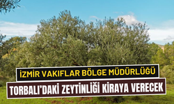 Kiraları çok cüzi