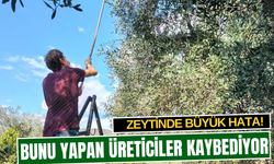 Bunu yapan üreticiler kaybediyor