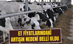 İşte fiyatlardaki artışın ana nedeni…