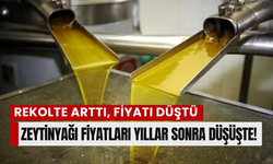 Geçtiğimiz yıla göre fiyatı yarı yarıya düştü