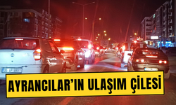 Uzun araç kuyrukları oluşuyor