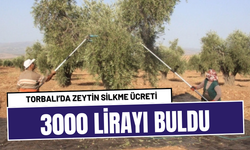 Torbalı’da zeytin silkme ücreti 3000 lirayı buldu