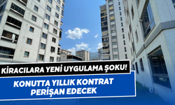 Ev sahiplerinin yeni yöntemi tepki çekti