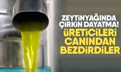 Girdiler yüzde yüz arttı fiyat yarı yarıya düştü