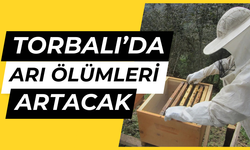 Torbalı’da tarımsal kuraklık arıcılığı vurdu